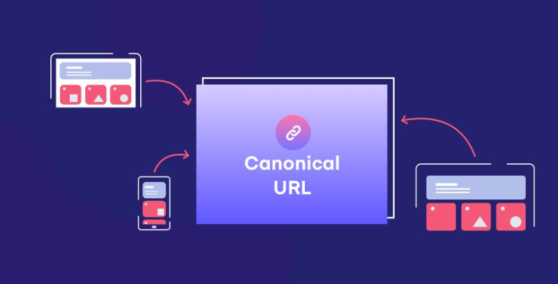 Cách sử dụng thẻ Canonical URL khi lập trình web chính xác nhất 4 lap trinh web 1